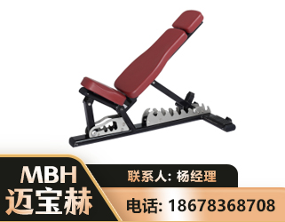 南京可调哑铃椅